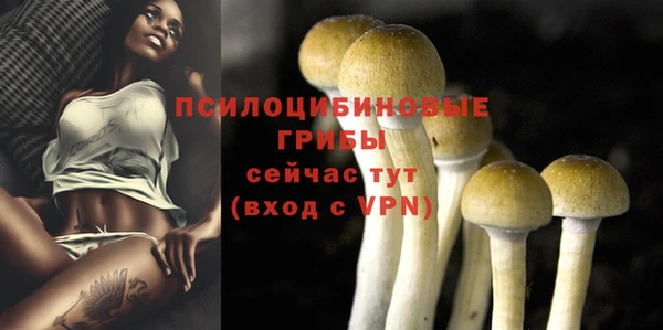 синтетический гашиш Алексин