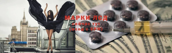 индика Абинск