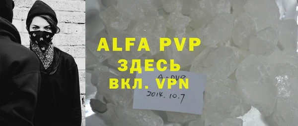 индика Абинск