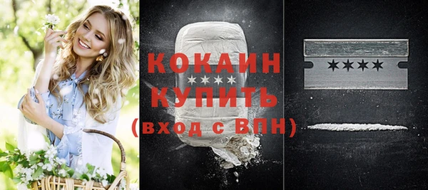 индика Абинск