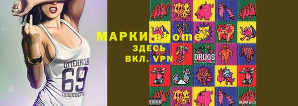 индика Абинск